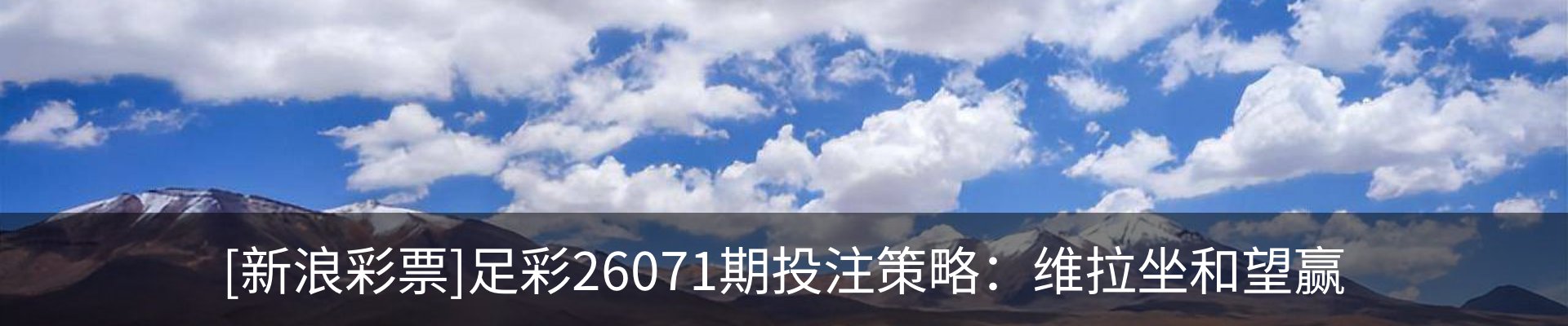 最新动态